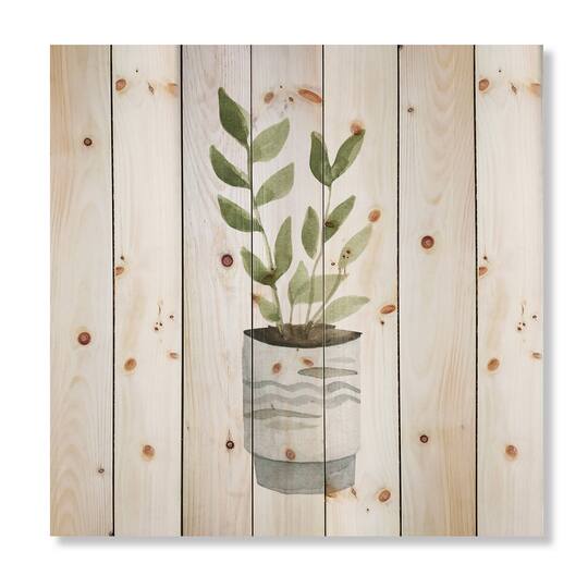 Designart - Indoor Green Home House Plants II